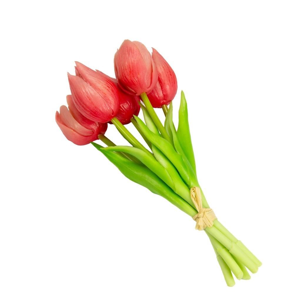 MAZZETTO 5 TULIPANI PICCOLI H20 ROSSO